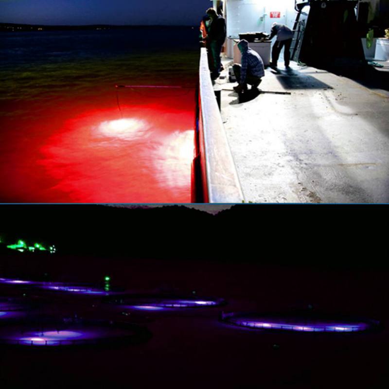 Mini Fishing Attraction Lamp G - Fishing Boat Navigation Light 评论和价格